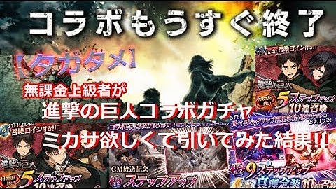 【タガタメ】無課金上級者がミカサが欲しく、進撃の巨人コラボガチャ引いてみた結果!!【THE ALCHEMIST CODE】【陽太(youta)】