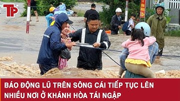 Báo động lũ trên sông Cái tiếp tục lên, nhiều nơi ở Khánh Hòa tái ngập