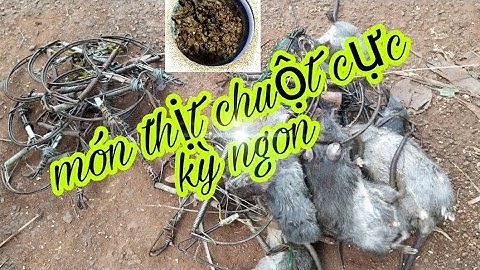 dù Bom đang rơi vẫn ngồi ăn, món thịt chuột xào sả ớt củ riềng củ gừng ngon phết