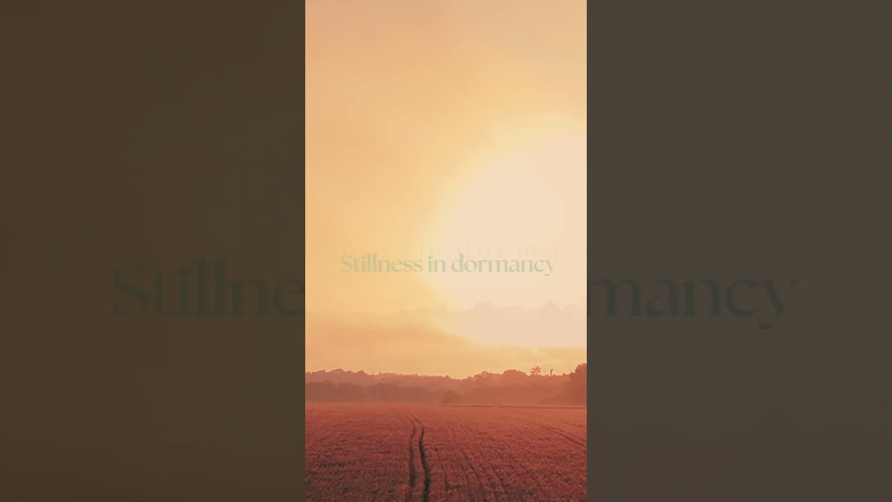 The Beginning of Every Think - Moments Without Time#philosophyshorts ThoughtfulMoments