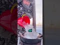 Yakutsk: Cuộc Sống Ở Nơi Lạnh Nhất Thế Giới!