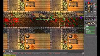 Celebrity Lets Play Tibia #3 - Orc Fortress Quest - Part 2 of 2 Profile