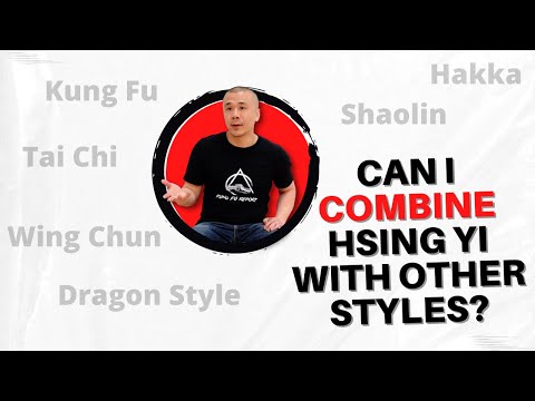 Should I COMBINE HSING YI with other styles? - Kung Fu Report #237