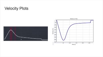 Lab 5: The Human Rocket PHYS2211