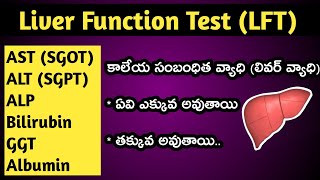 Liver Function Test in Telugu ||SGOT ||SGPT ||Bilirubin