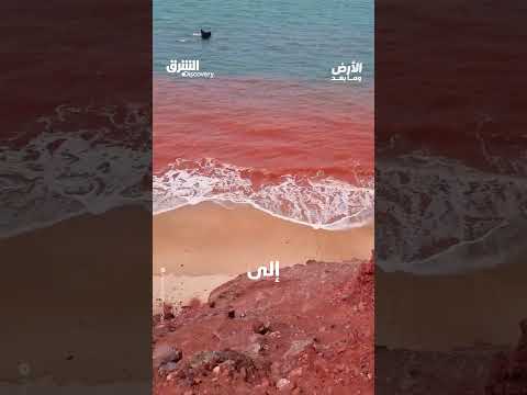 تربة حمراء صالحة للأكل