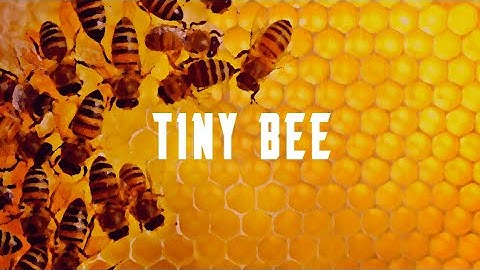 Meru - Tiny Bee  [Official mix] (my first track)