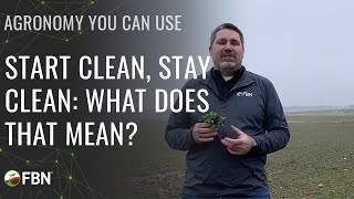 Start Clean, Stay Clean: What Does That Mean Burndown For Weed Control