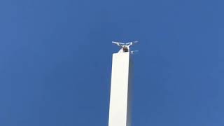 Dji Phantom 4 pro crash Funny