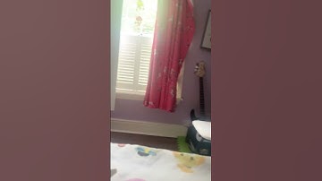 The perfect loop 👌 #perfectloop #looplove #looping #looplife #loopingfun #loopgoals