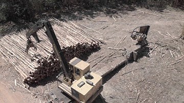 Tigercat Loaders, John Deere Skidder & Track Feller Buncher in Pine First Thinning