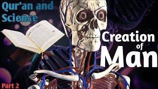 Scientific Ayats from Quran #part2 | Creation of Man 🧍🏻‍♂️✨ | #quran creation #science