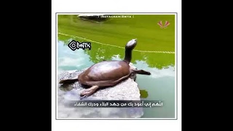 #سورة_الفاتحة بصوت جميل فقط استمع بقلبك حالات واتس إسلامية