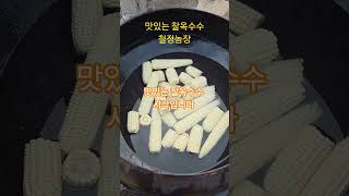 맛있는 홍천 찰옥수수 본격적인 출하시즌!! 한국인의밥상에도 나왔던 철정농장의 미백2호 찰옥수수입니다.