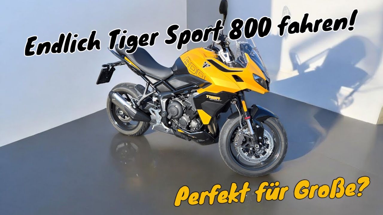 Das perfekte Motorrad für große Personen? | Triumph Tiger Sport 800 | Hier fühlen sich Bienen wohl