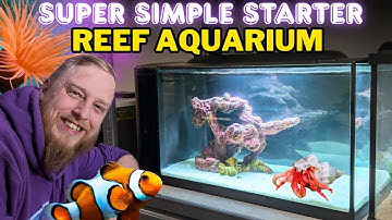 How to Set Up a Saltwater Aquarium: Step by Step Beginner