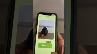 RipeOrNot AI Demo screenshot 3