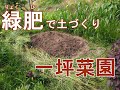 【一坪菜園】家庭菜園での緑肥（りょくひ）を使った土づくり【クリムゾンクローバー（ストロベリーキャンドル）/ライ麦/土壌改良/すき込み】