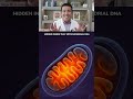 Meet MOTS-c: the mitochondrial peptide redefining aging, metabolism, and human health! 🧬✨
