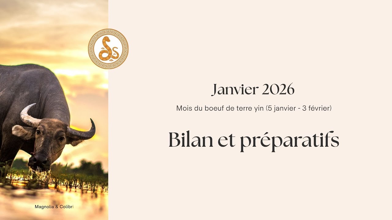 Janvier 2026 ☯️ Bilan et préparatifs, pas de temps à perdre !