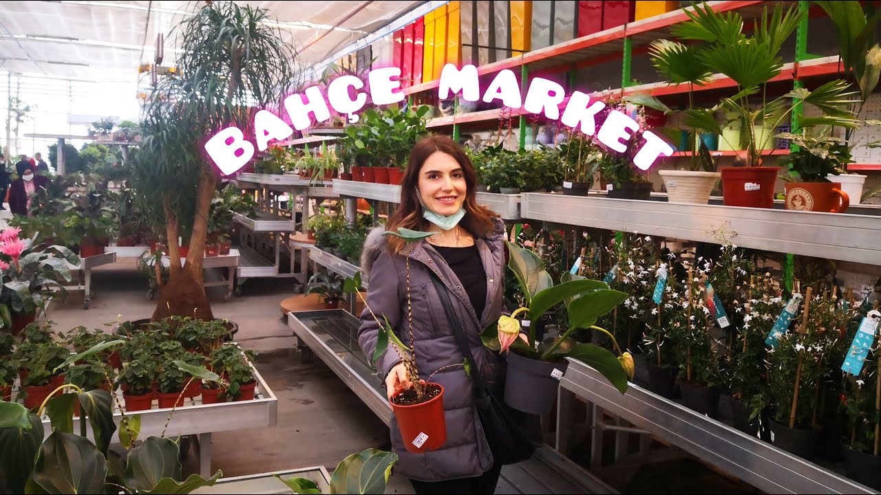 Bahçe Market Tur | Mart 2021 Fiyatlar | Botanik Alışveriş | Tüm İç Dış Bitkiler Ağaçlar