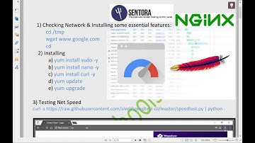 Sentora with Nginx and Google Page Speed