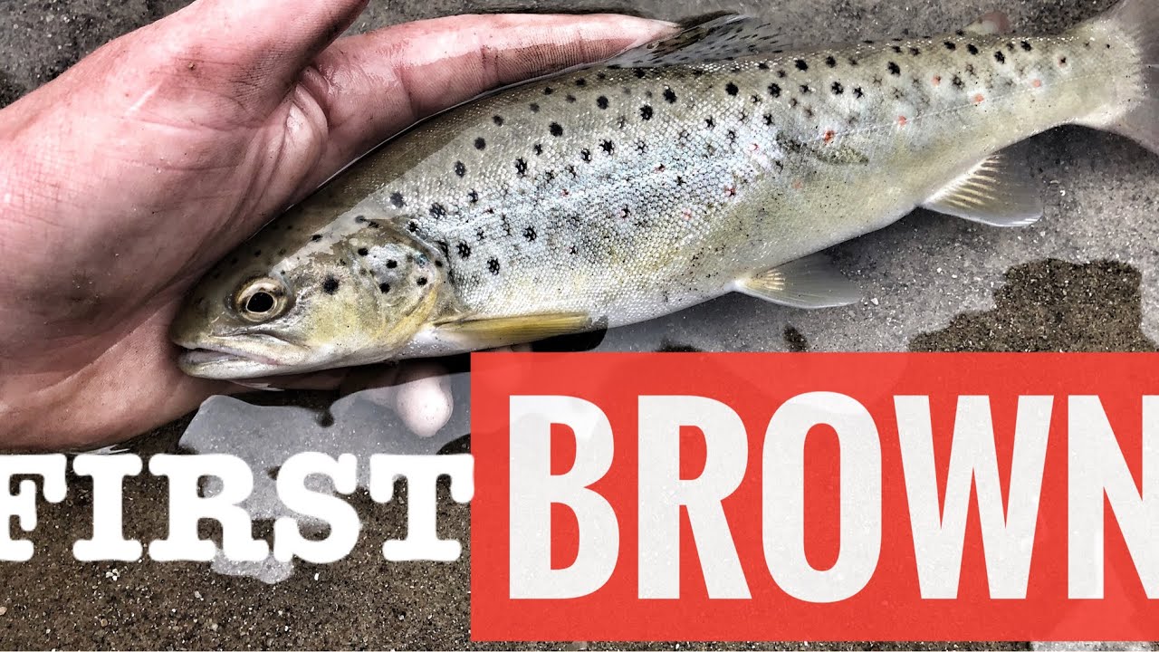 First BROWN TROUT EVER!!(fishing creek for trout)