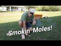 Smokin' Moles with the Giant Destroyer