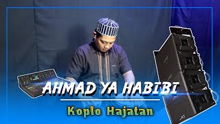 COCOK UNTUK CEK SOUND ! SHOLAWAT VERSI KOPLO HAJATAN