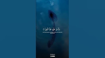 من هو القارئ المفضل لديك؟، سورة الفيل بصوت القارئماهر المعيقلي #quran  #quran_alkari #اكسبلور  #art