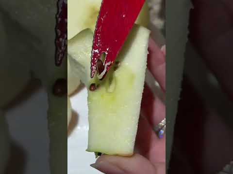 Video: Jak byla objevena Semerenkova jablka