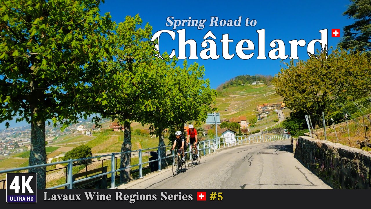 Lavaux Vineyards Switzerland 🇨🇭 Ep#5 - Epic Spring Road Trip from Corseaux to Châtelard Lutry, Vaud