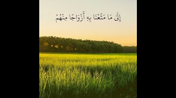 تلاوة خاشعة ومؤثرة بصوت القارئ اسلام صبحي | فَاصْبِرْ عَلَىٰ مَا يَقُولُونَ 