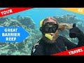 Great barrier reef snorkelling in 4k at flynn reef australia