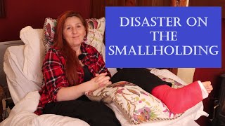Disaster on the Smallholding / Homestead