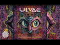 Ulvae  psychedelia in motion full album