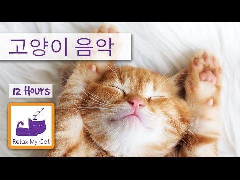 12 Hours of Cat Music - Sleep Music for Cats