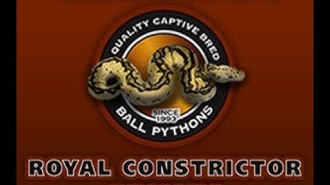 Royal Constrictor Designs
