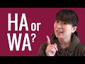 Ask a Japanese Teacher  Why is HA       read as WA