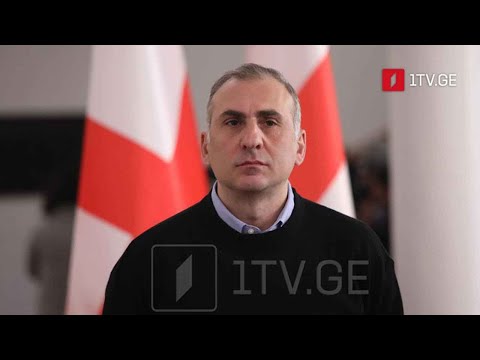 ოპოზიციური პოლიტიკური პარტიების გეგმები