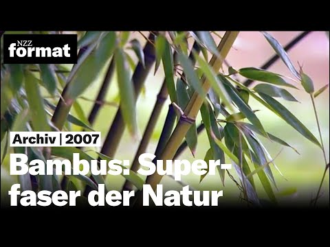 Video: Was Ist Aus Bambus?