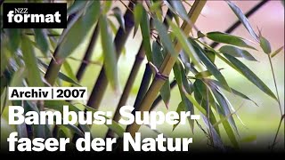 Bambus: Superfaser der Natur - Dokumentation von NZZ Format (2007)