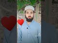 حافظ خالد تلاوات Voiceeffects Answer Ihavethisthingwithplants 
