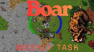 Tibia Boar Outlaw Camp Weekly Task Bestiary #tibia #tibia2026 #weeklytask #tibiaglobal #tibiagame