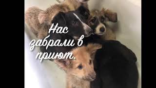 Второй шанс для Афони. Второй шанс для Афони.