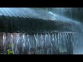 Heavy Rain on a Roof to Sleep Instantly, Rain Sounds & Thunderstorm for Sleeping at Night
