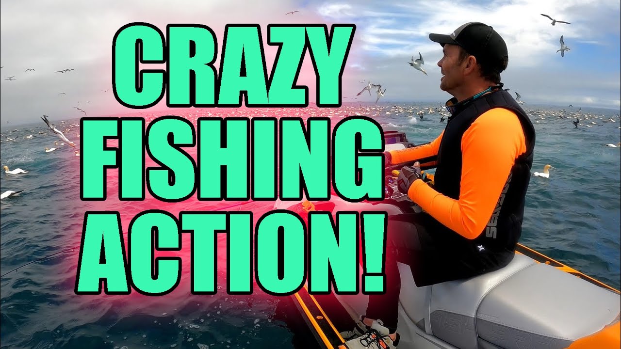 Crazy action VIDEO of workup fishing - The Fishing Website : Discussion  Forums