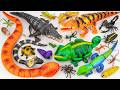 ZURU ROBO ALIVE COLLECTION | UNBOXING Robot Huge Crocodile, New Robo Alive Giant Snake creepers