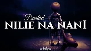 darkid-nilie na nani lyrics