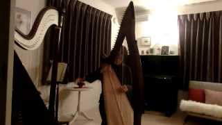 Women of Ireland on Egan Harp chords